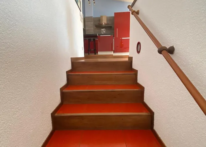 Apartament Frane House